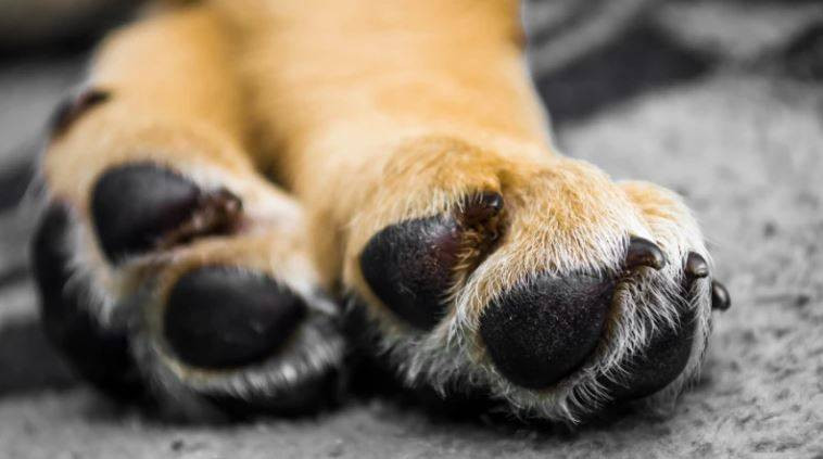 Günlük hayatta doğru bildiğimiz 25 yanlış - Resim: 11